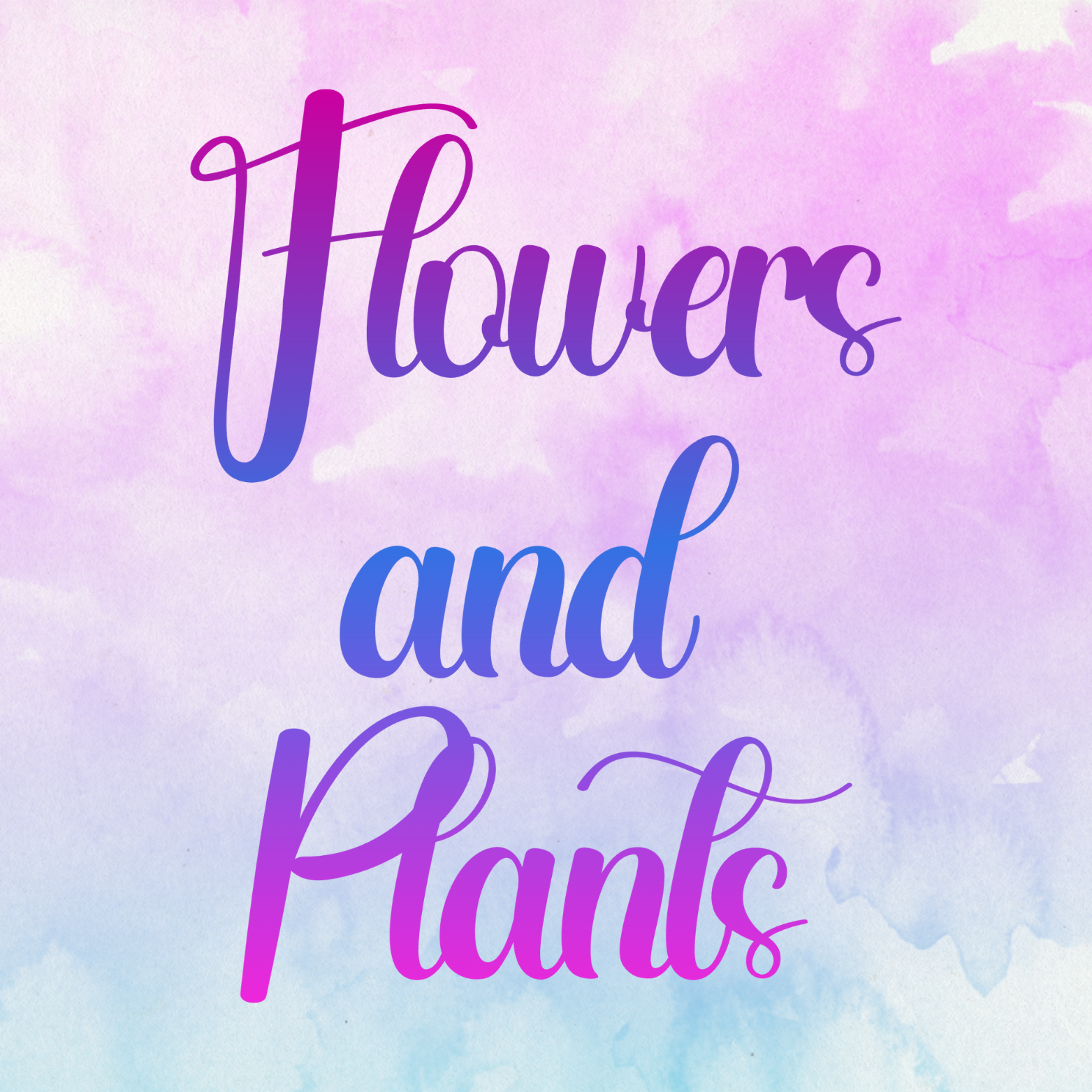 Flowers & Plants