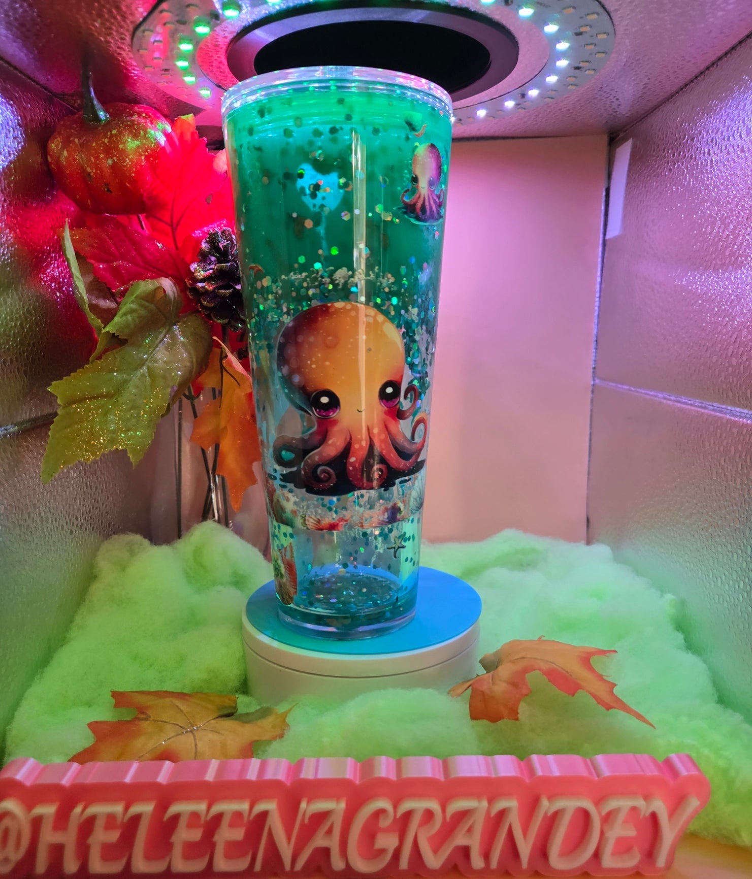 octopus under the sea