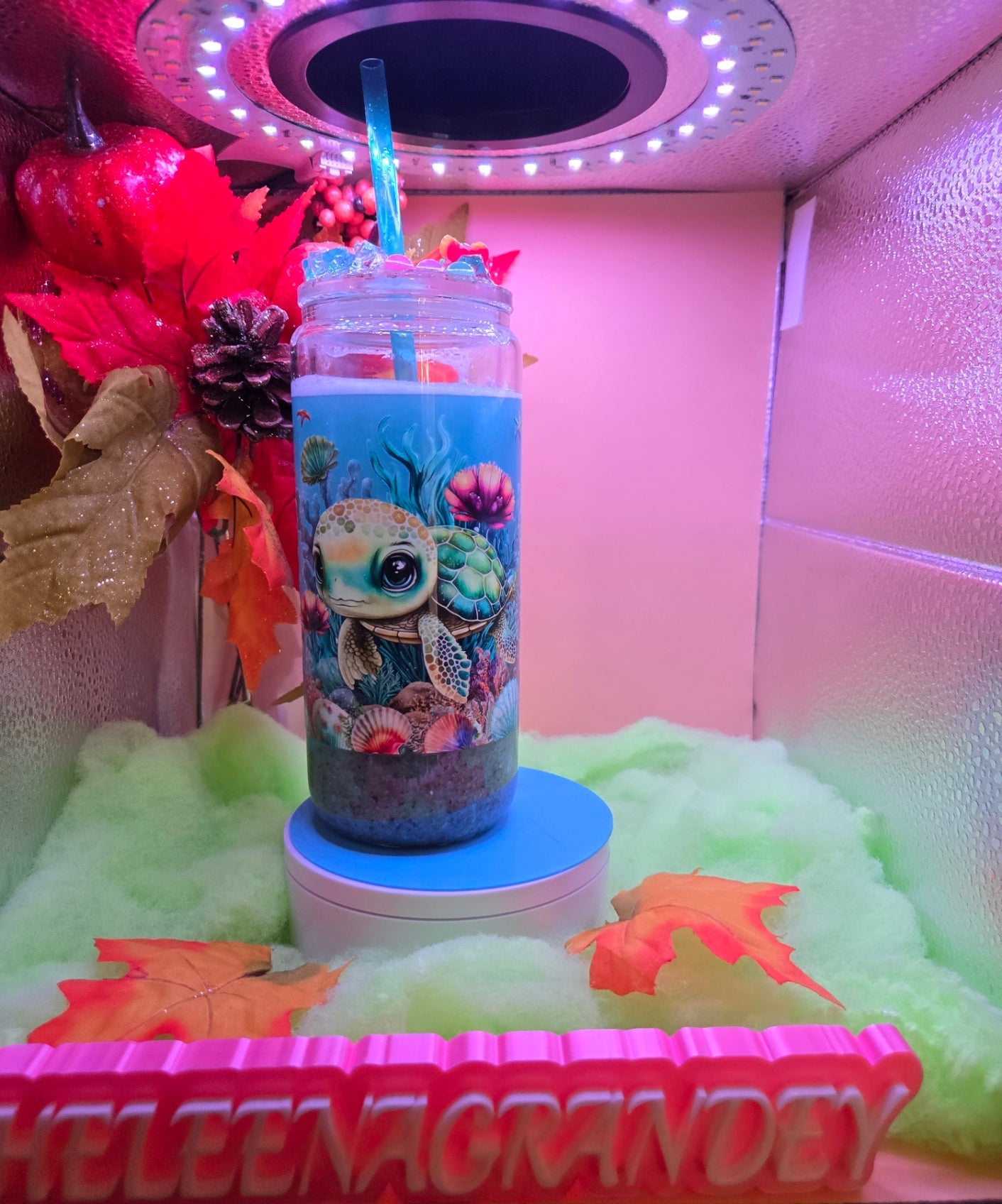 turtle under the sea