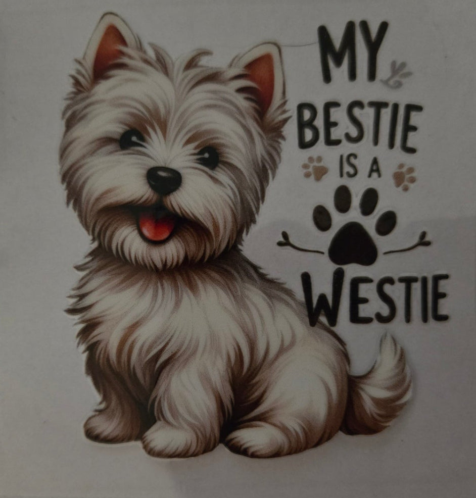 My bestie is a westie